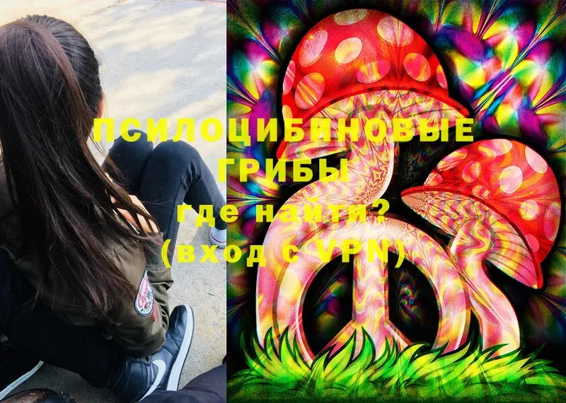 Галлюциногенные грибы Cubensis Нерчинск